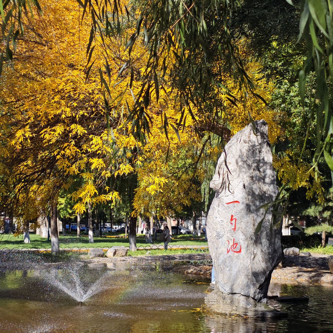 Yishao Pond at Renmin University (人民大学一勺池)